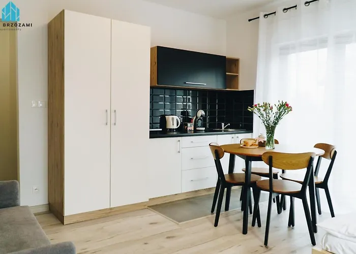 Pod Brzozami Apartamenty Wiejska