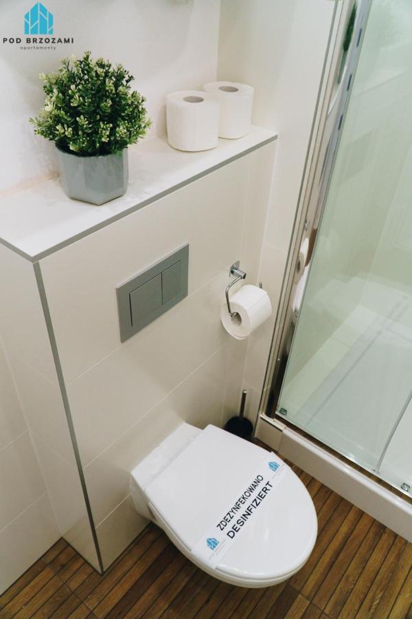 Apartment Pod Brzozami Wiejska Ustronie Morskie