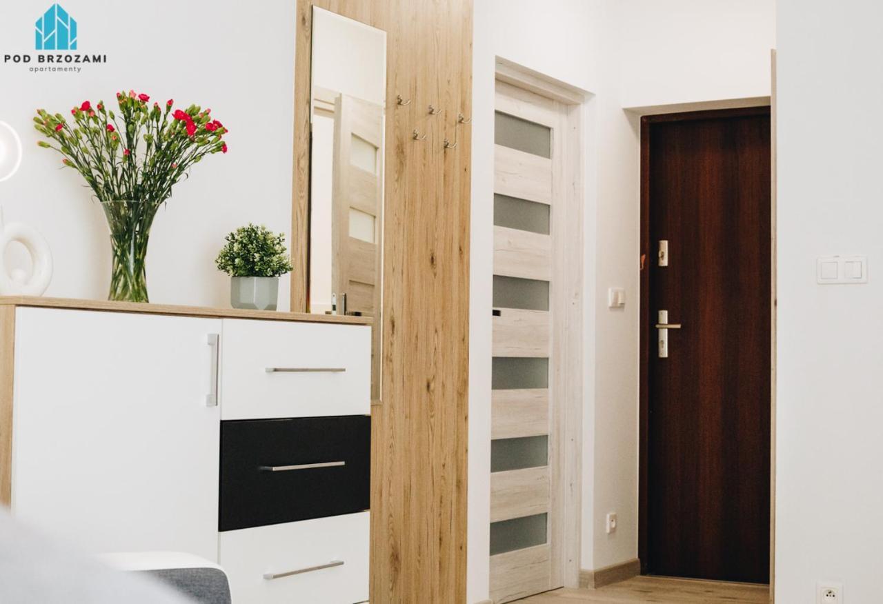 Pod Brzozami Wiejska Apartment