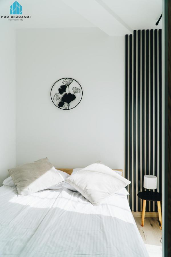 Apartment Pod Brzozami Wiejska
