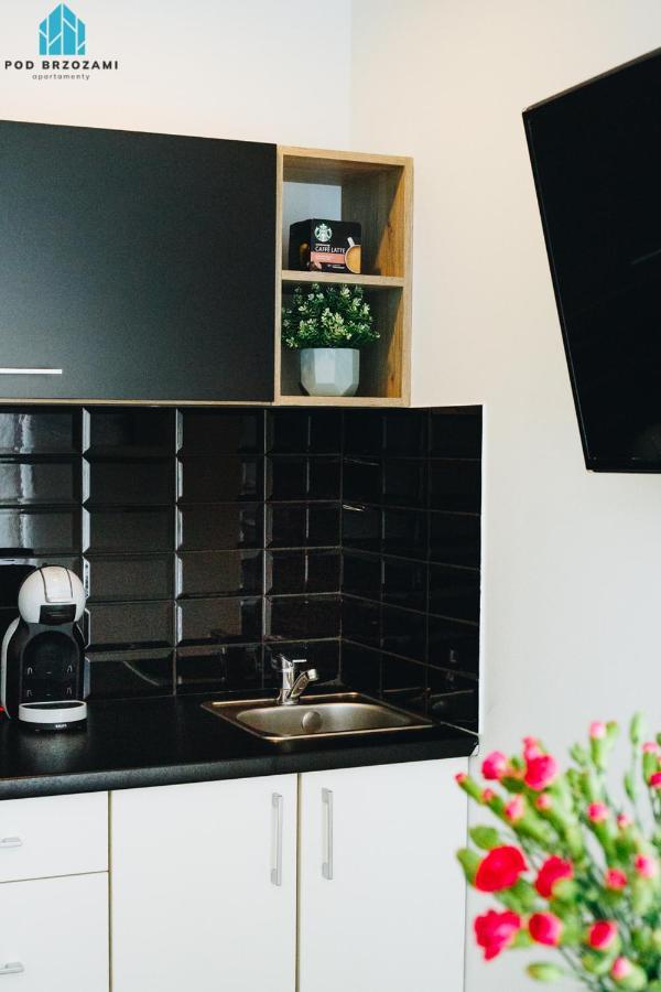 Pod Brzozami Wiejska Apartment