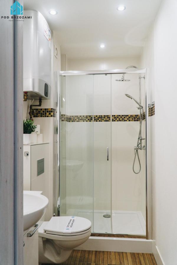 Pod Brzozami Wiejska Apartment