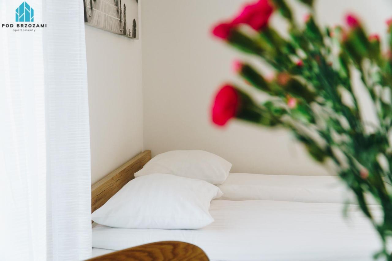 Pod Brzozami Wiejska Apartment Ustronie Morskie