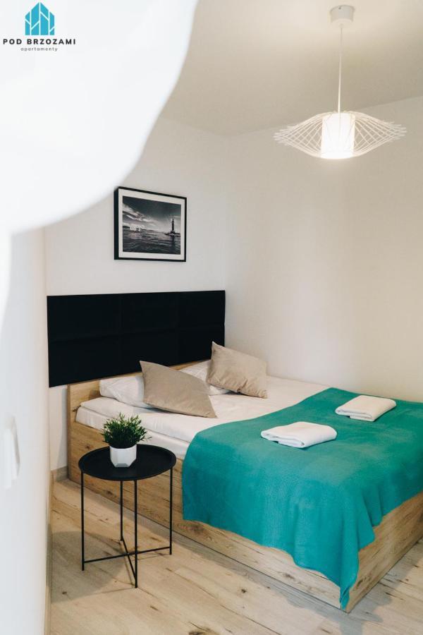 Pod Brzozami Wiejska Apartment