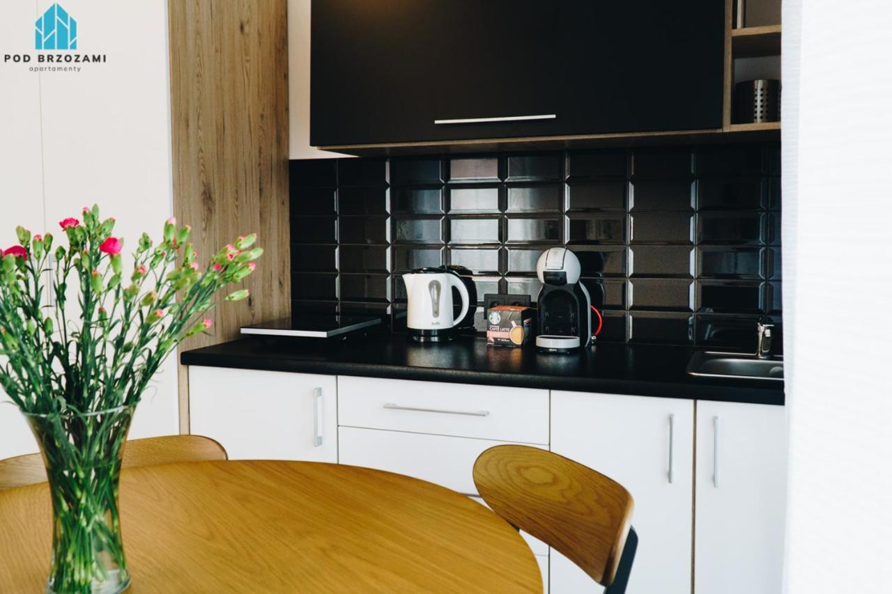 Pod Brzozami Wiejska Apartment